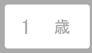 1歳誕生日プレゼント