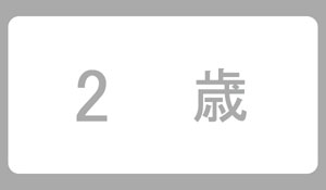 2歳誕生日プレゼント