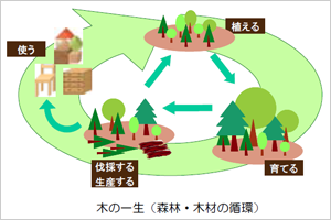 資源の循環図