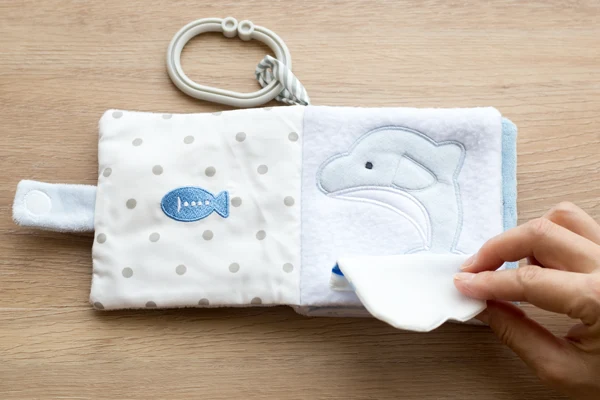 イルカが見えました