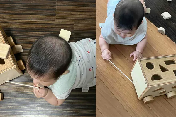 赤ちゃんが遊んでいる様子