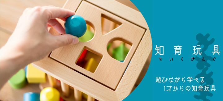 1歳からの知育玩具｜木のおもちゃ通販専門店 おもちゃの森sapporo